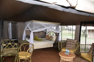 Ngorongoro Wild Camp