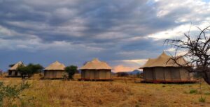 serengeti wild camps