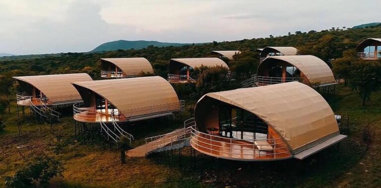 Safari Trends in Tanzania