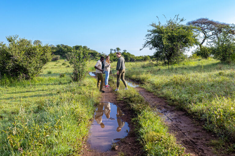 Walking Safaris in Tanzania