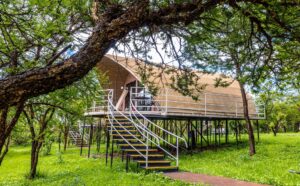 best sari lodges and camps in Tanzania