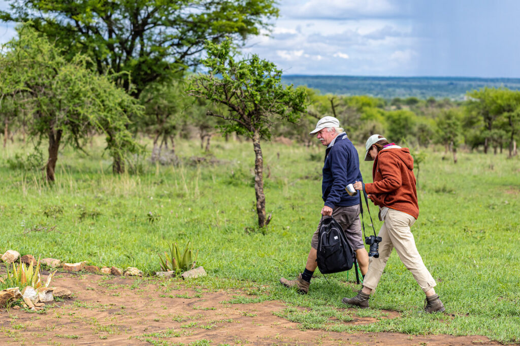 Essential Travel Planning Resources for Your Tanzania Safari