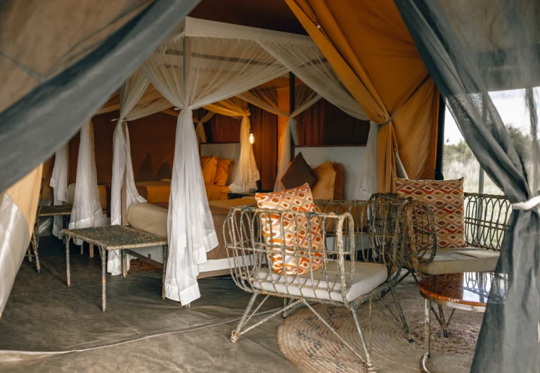 Luxury Tented Safari