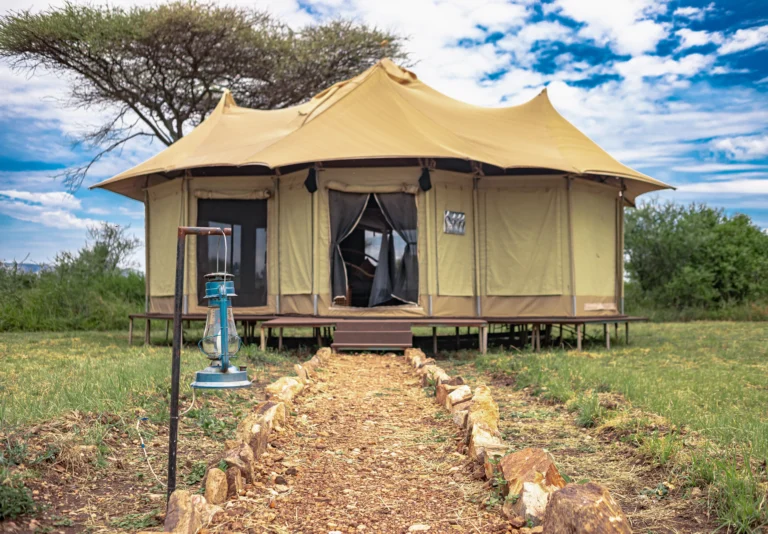 Difference Between a Lodge and a Camp Safari