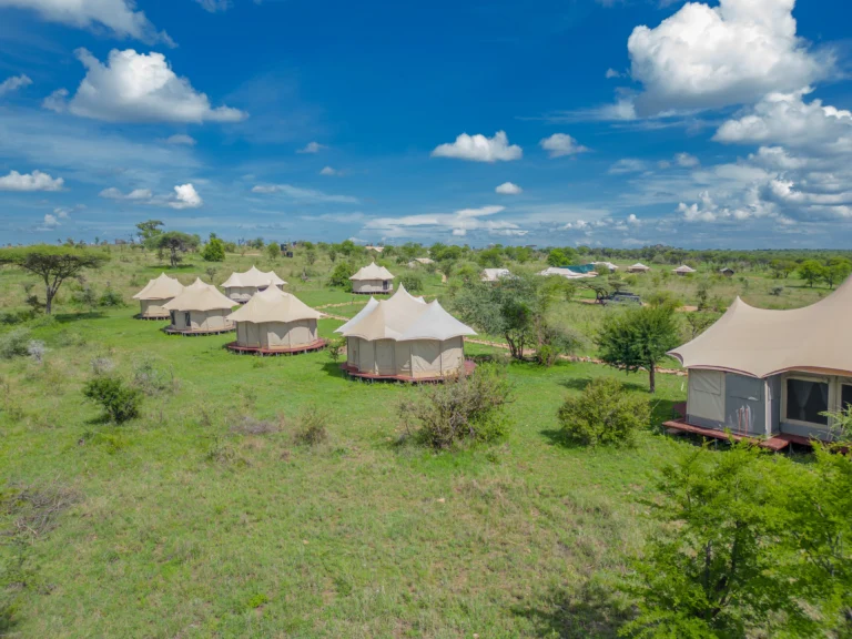 Mobile vs Permanent Safari Camps in Tanzania