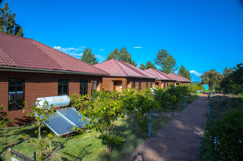 eco friendly safari camps in Tanzania