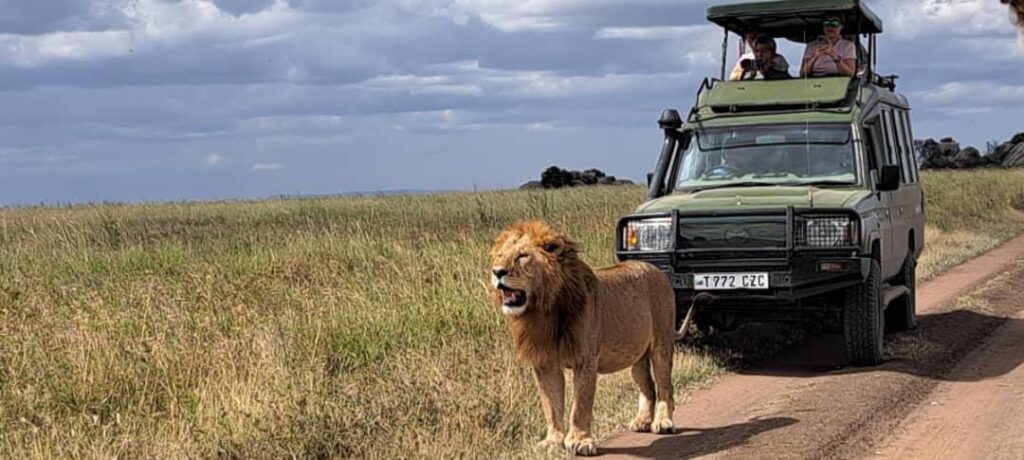 When is the best time to visit the Serengeti and Ngorongoro Crater?
