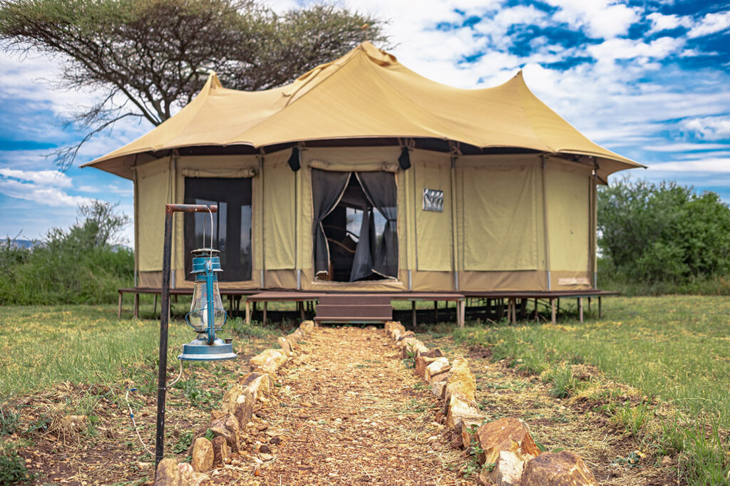 The Best Camps and Lodges in Tanzania for Your 2025/2026 Festive Holiday