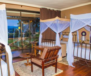 Top 10 Must-Visit Safari Camps in Tanzania