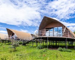 Ngorongoro Safari Lodge9