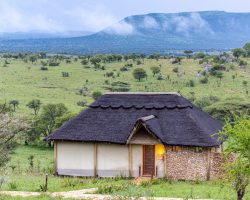 Serengeti Safari Lodge5